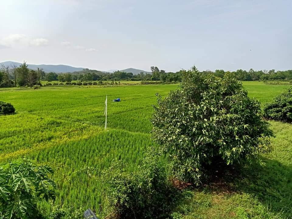 picture A house in a garden, surrounded by rice fields and mountain views, quiet and peaceful. - 22/54