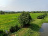 listing thumbnail image 27