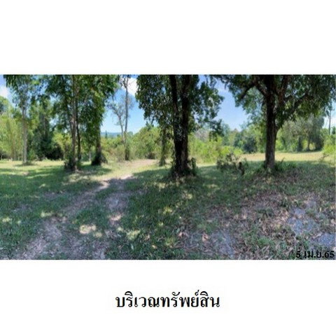 picture FOR SALE  LAND PROPERTY  187909000 BAHT. - 8/8