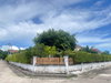 listing thumbnail image 27