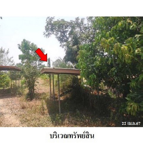 picture FOR SALE  WAREHOUSE PROPERTY  2312000 BAHT. - 5/8