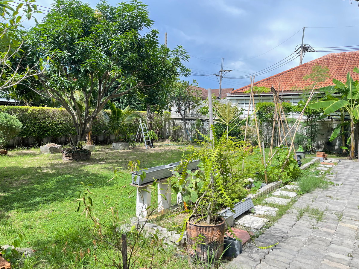 รูป ขายบ้านวิวไม้โครงการ 2 บ้านเดี่ยวพร้อมสวน 227.00 ตร.ว.  ใจกลางศรีราชา เชื่อมต่อถนนสุขุมวิท และมอเตอร์เวย์สาย 7 - รูปที่ 38/42