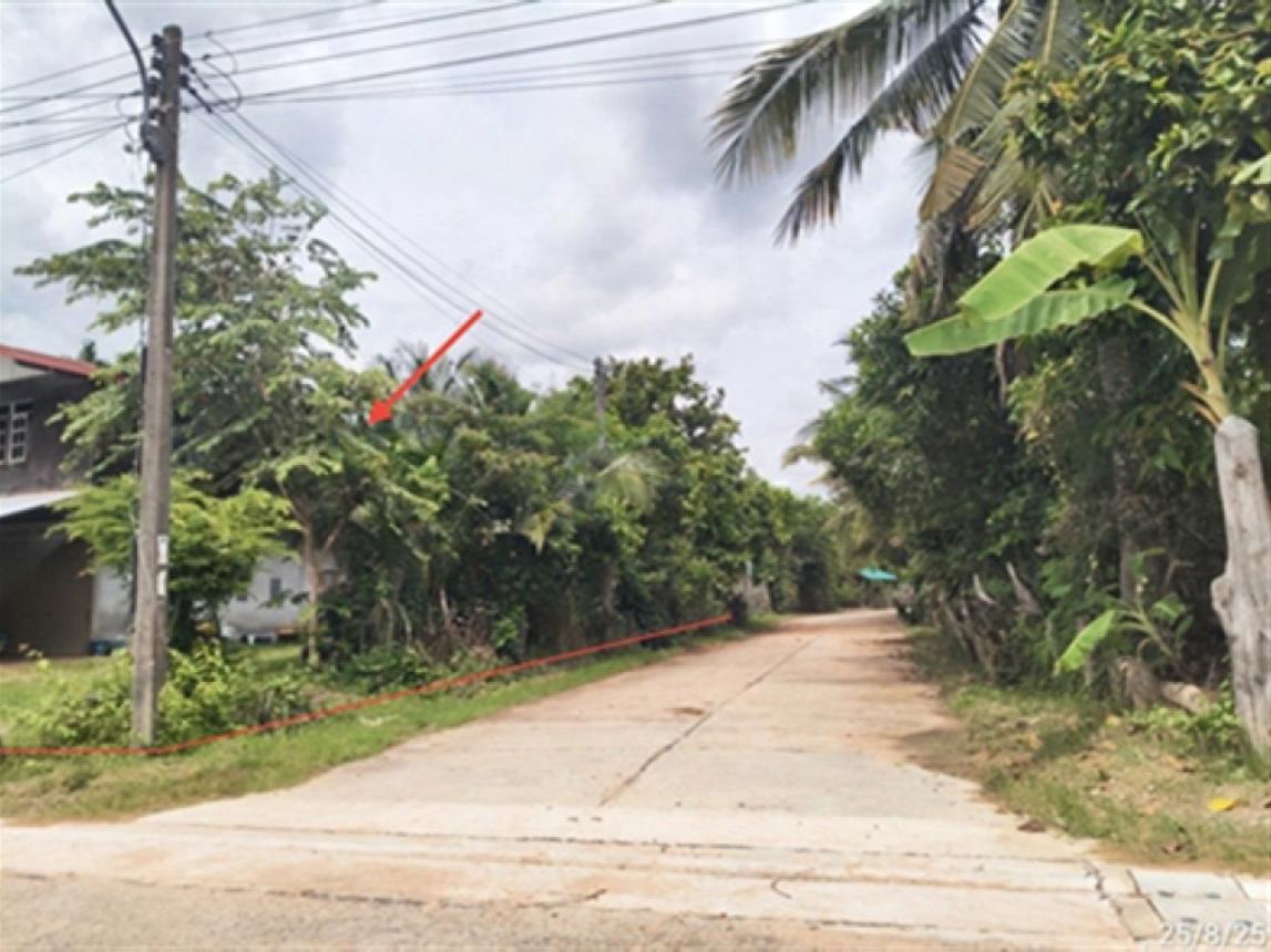 picture HOME 352 Sq.w. Bua Chet Surin for 1.4M - 8/12