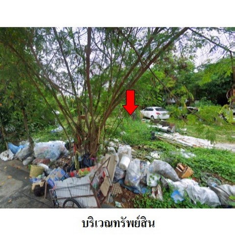 รูป ZLL0007 ขายที่ดินเปล่า ตำบล อ้อมน้อย อำเภอ กระทุ่มแบน จังหวัด สมุทรสาคร - รูปที่ 6/8