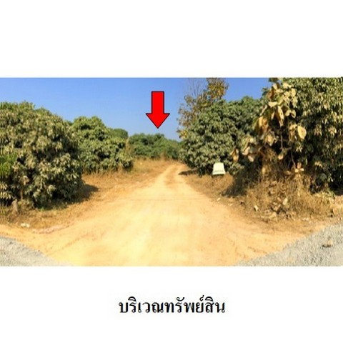 picture FOR SALE  LAND PROPERTY  7034000 BAHT. - 4/8