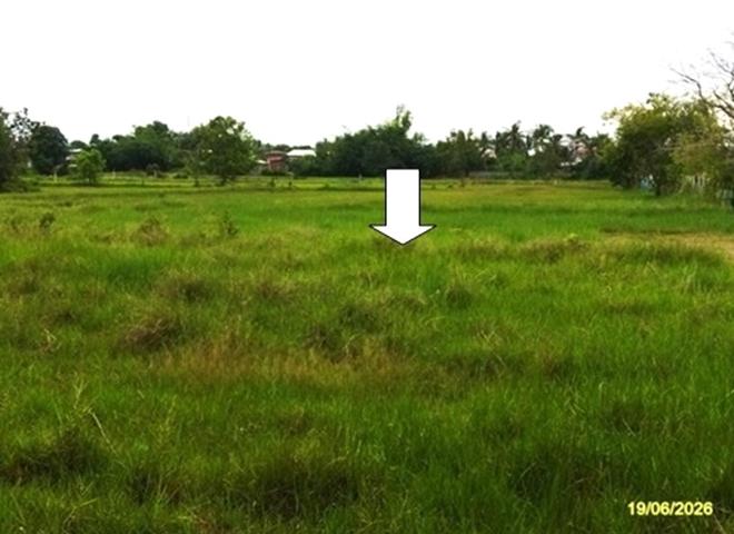รูป ที่ดินว่างเปล่า 3278 ตร.วา ยางตลาด กาฬสินธุ์ 2.7M - รูปที่ 10/24