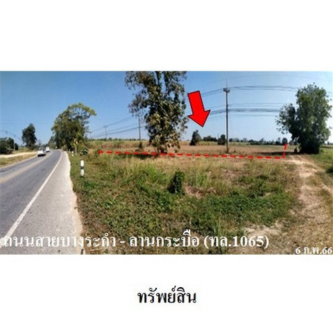 รูป Z3A2187 ขายที่ดินเปล่า ตำบล บึงกอก อำเภอ บางระกำ จังหวัด พิษณุโลก - รูปที่ 1/8