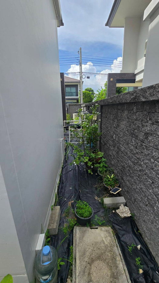 รูป ขายบ้านเดี่ยว บริทาเนียม กม.12 ซอยหลวงพ่อโต - รูปที่ 5/11