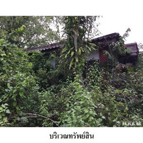 picture FOR SALE LAND PROPERTY 5416000 BAHT. - 3/8
