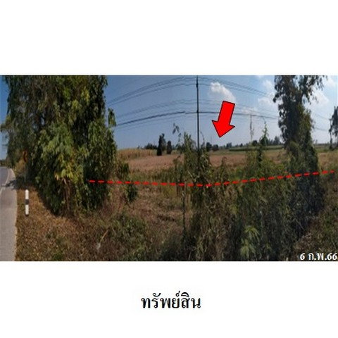 รูป Z3A2187 ขายที่ดินเปล่า ตำบล บึงกอก อำเภอ บางระกำ จังหวัด พิษณุโลก - รูปที่ 3/8