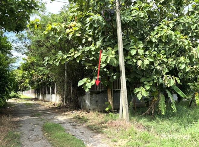 รูป บ้านเดี่ยว 1599 ตร.วา เมืองราชบุรี ราชบุรี 8M - รูปที่ 5/18