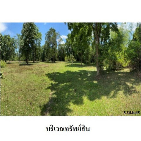 picture FOR SALE  LAND PROPERTY  187909000 BAHT. - 4/8