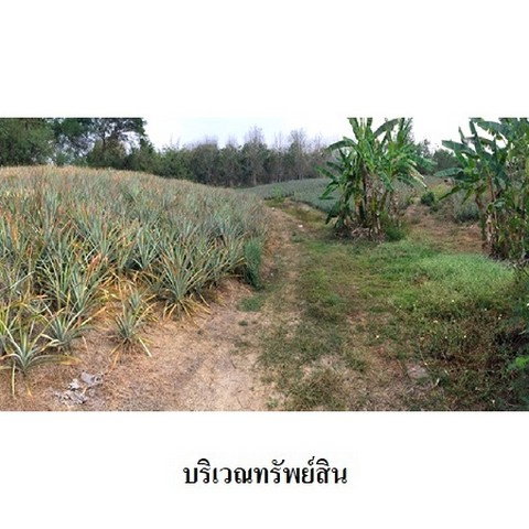 picture FOR SALE  LAND PROPERTY  1530000 BAHT. - 8/8