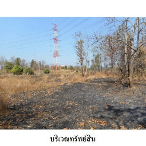 picture FOR SALE LAND PROPERTY 9761000 BAHT. - 6/8