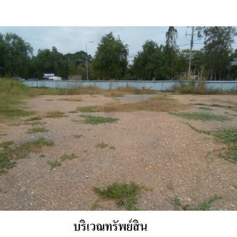 รูป Z4T0206 ขายที่ดินเปล่า ตำบล โพชนไก่ อำเภอ บางระจัน จังหวัด สิงห์บุรี - รูปที่ 8/8