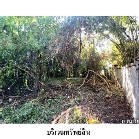 รูป Z8Z3417 ขายที่ดินเปล่า ตำบล สว่างอารมณ์ อำเภอ ดอกคำใต้ จังหวัด พะเยา - รูปที่ 2/8