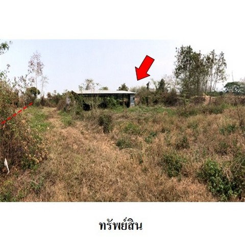 รูป Z3A1285 ขายโกดัง ตำบล ดอยงาม อำเภอ พาน จังหวัด เชียงราย - รูปที่ 4/8