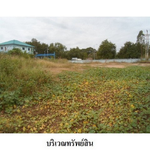 รูป Z4T0206 ขายที่ดินเปล่า ตำบล โพชนไก่ อำเภอ บางระจัน จังหวัด สิงห์บุรี - รูปที่ 7/8