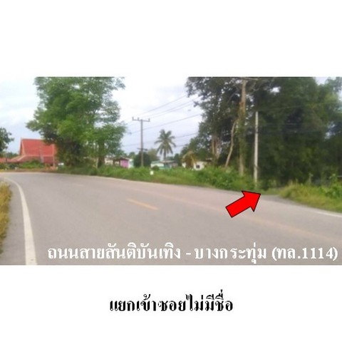 รูป ZHL0317 ขายบ้านเดี่ยว ตำบล เนินกุ่ม อำเภอ บางกระทุ่ม จังหวัด พิษณุโลก - รูปที่ 3/8
