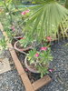listing thumbnail image 60