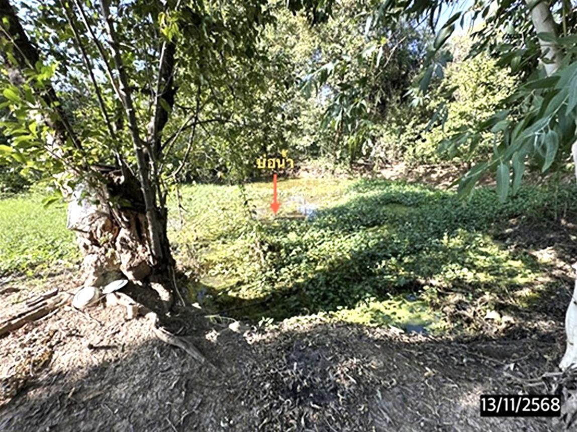 รูป บ้านเดี่ยว 1034 ตร.วา เชียงขวัญ ร้อยเอ็ด 616,000 - รูปที่ 13/20