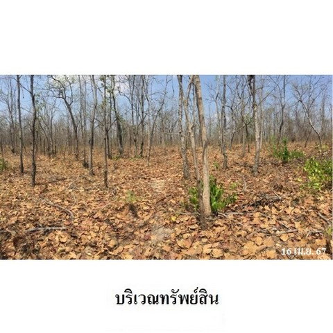 รูป Z3A0415 ขายที่ดินเปล่า ตำบล ไม้งาม อำเภอ เมืองตาก จังหวัด ตาก - รูปที่ 7/8