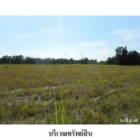 picture FOR SALE  LAND PROPERTY  9016000 BAHT. - 4/8