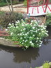 listing thumbnail image 24