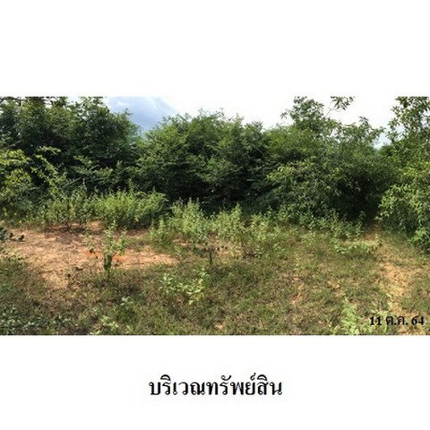 รูป Z8Z3311 ขายที่ดินเปล่า โครงการ สวนเกษตรนพวรรณ ตำบล หนองปลาสะวาย อำเภอ บ้านโฮ่ง จังหวัด ลำพูน - รูปที่ 3/8