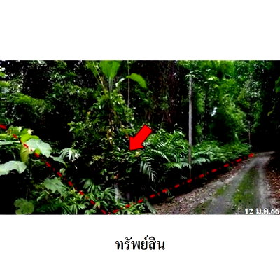 ที่ดิน จันทบุรี : Z1T2943 ขายที่ดินเปล่า โครงการ กระทิง คันทรี รีสอร์ท ตำบล พลวง อำเภอ เขาคิชฌกูฏ จังหวัด จันทบุรี
