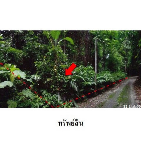 picture FOR SALE LAND PROPERTY 747000 BAHT. - 1/8