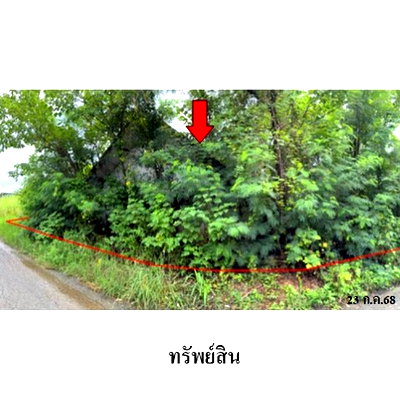 บ้านเดี่ยว เชียงใหม่ : ZHTR014 ขายบ้านเดี่ยว ตำบล สบแม่ข่า อำเภอ หางดง จังหวัด เชียงใหม่