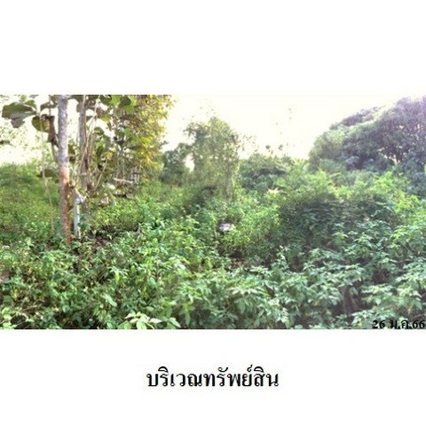 รูป Z8Z4502 ขายที่ดินเปล่า ตำบล ป่าไผ่ อำเภอ ลี้ จังหวัด ลำพูน - รูปที่ 2/8