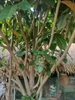 listing thumbnail image 64