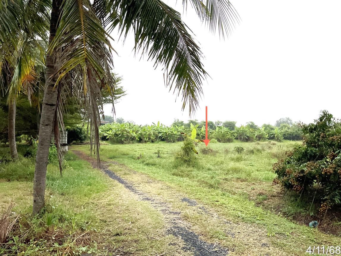 picture HOME 4987 Sq.w. Chalermphrakiet Buri Ram for 5.5M - 13/20
