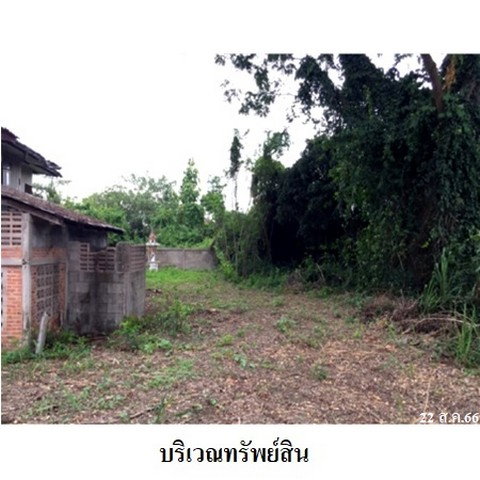 รูป Z2T1905 ขายบ้านเดี่ยว ตำบล ป่าซาง อำเภอ ป่าซาง จังหวัด ลำพูน - รูปที่ 4/8