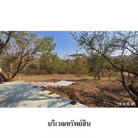 รูป Z3A0330 ขายที่ดิน ตำบล ด่านแม่ละเมา อำเภอ แม่สอด จังหวัด ตาก - รูปที่ 7/8