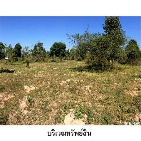 รูป Z8Z4543 ขายที่ดินเปล่า ตำบล เหมืองจี้ อำเภอ เมืองลำพูน จังหวัด ลำพูน - รูปที่ 3/8