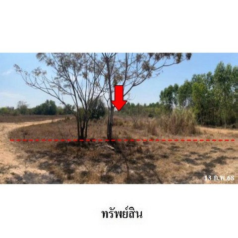 รูป ZHL0453 ขายบ้านเดี่ยว ตำบล ย่านรี อำเภอ กบินทร์บุรี จังหวัด ปราจีนบุรี - รูปที่ 6/8