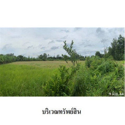 รูป Z3A0673 ขายที่ดินเปล่า ตำบล ศาลาลำดวน อำเภอ เมืองสระแก้ว จังหวัด สระแก้ว - รูปที่ 5/8