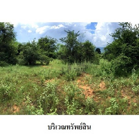 picture FOR SALE LAND PROPERTY 2194000 BAHT. - 7/8