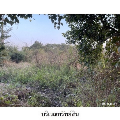 รูป Z3A2218 ขายที่ดินเปล่า ตำบล บ้านเรือน อำเภอ ป่าซาง จังหวัด ลำพูน - รูปที่ 8/8