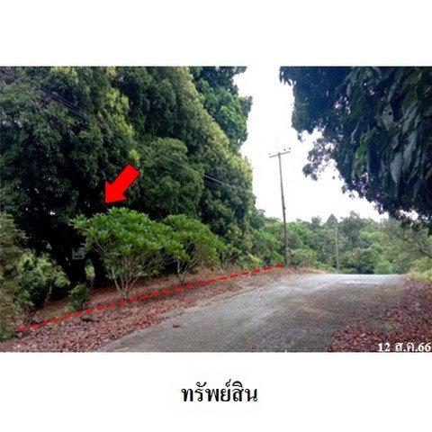 picture FOR SALE LAND PROPERTY 2900000 BAHT. - 4/8