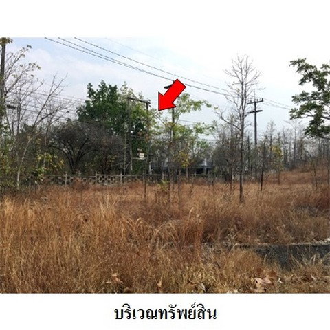 รูป Z3A1012 ขายที่ดิน ตำบล ไม้งาม อำเภอ เมืองตาก จังหวัด ตาก - รูปที่ 6/8
