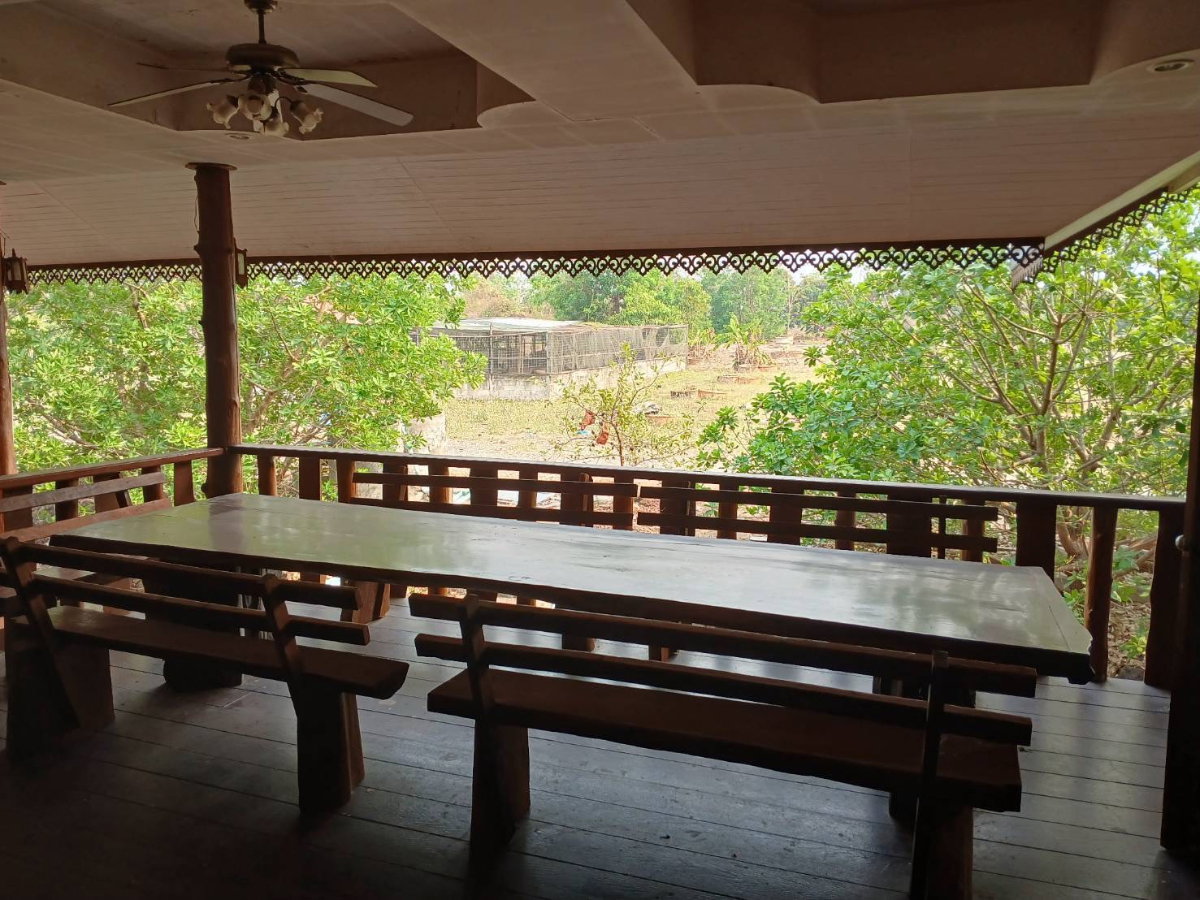 รูป ขายที่ดินพร้อมบ้านและสวนลำไย 14 ไร่ ทำเลดีมาก อ.เมือง จ.ลำพุน - รูปที่ 9/16