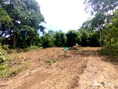 Land for sale Krabi : LAND 663 Sq.w. Khlong Thom Krabi for 2.9M