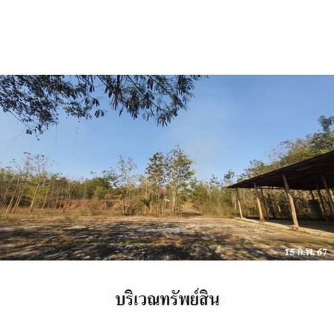 รูป Z3A0330 ขายที่ดิน ตำบล ด่านแม่ละเมา อำเภอ แม่สอด จังหวัด ตาก - รูปที่ 4/8