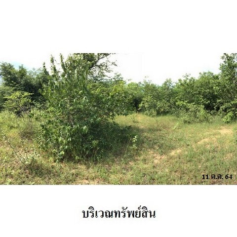 รูป Z8Z3311 ขายที่ดินเปล่า โครงการ สวนเกษตรนพวรรณ ตำบล หนองปลาสะวาย อำเภอ บ้านโฮ่ง จังหวัด ลำพูน - รูปที่ 4/8