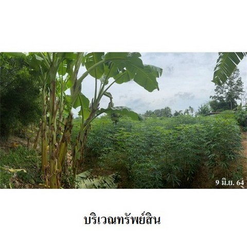 รูป Z3A0673 ขายที่ดินเปล่า ตำบล ศาลาลำดวน อำเภอ เมืองสระแก้ว จังหวัด สระแก้ว - รูปที่ 4/8