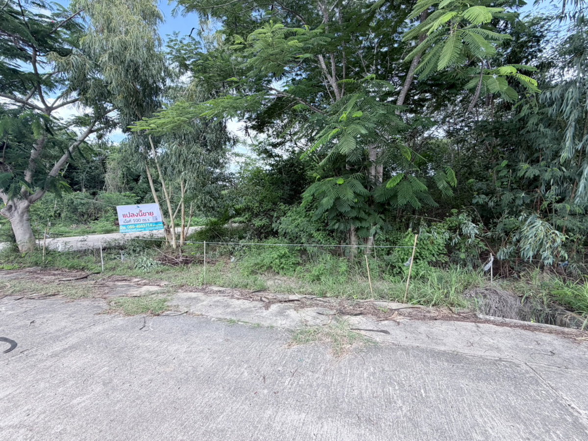 picture Land for sale, 100 square wah, Thap Tai Subdistrict, Hua Hin District, Prachuap Khiri Khan  - 4/6